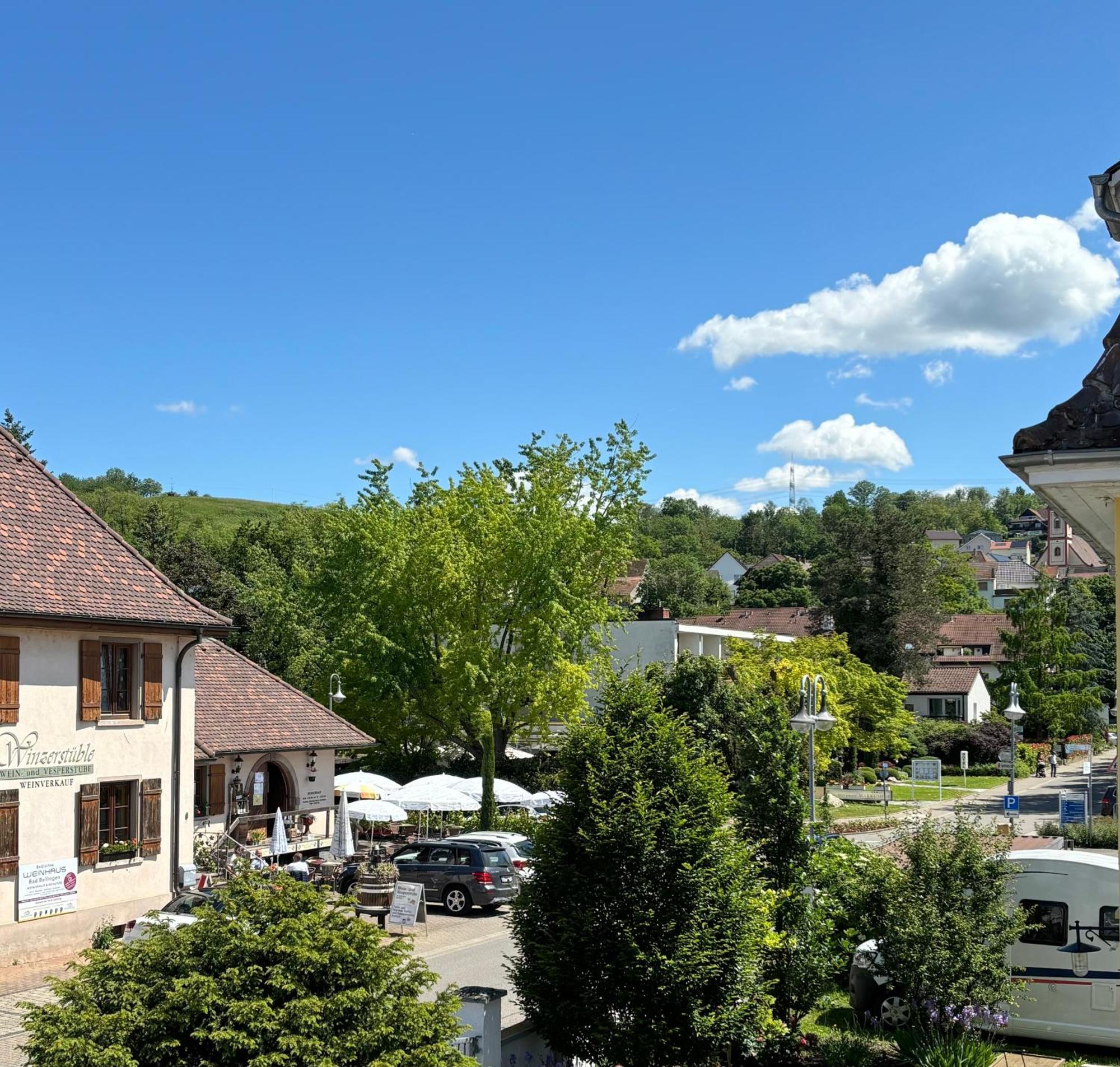 Gesamte Wohnung, Kueche, Parkplatz, Terrasse Bad Bellingen Esterno foto