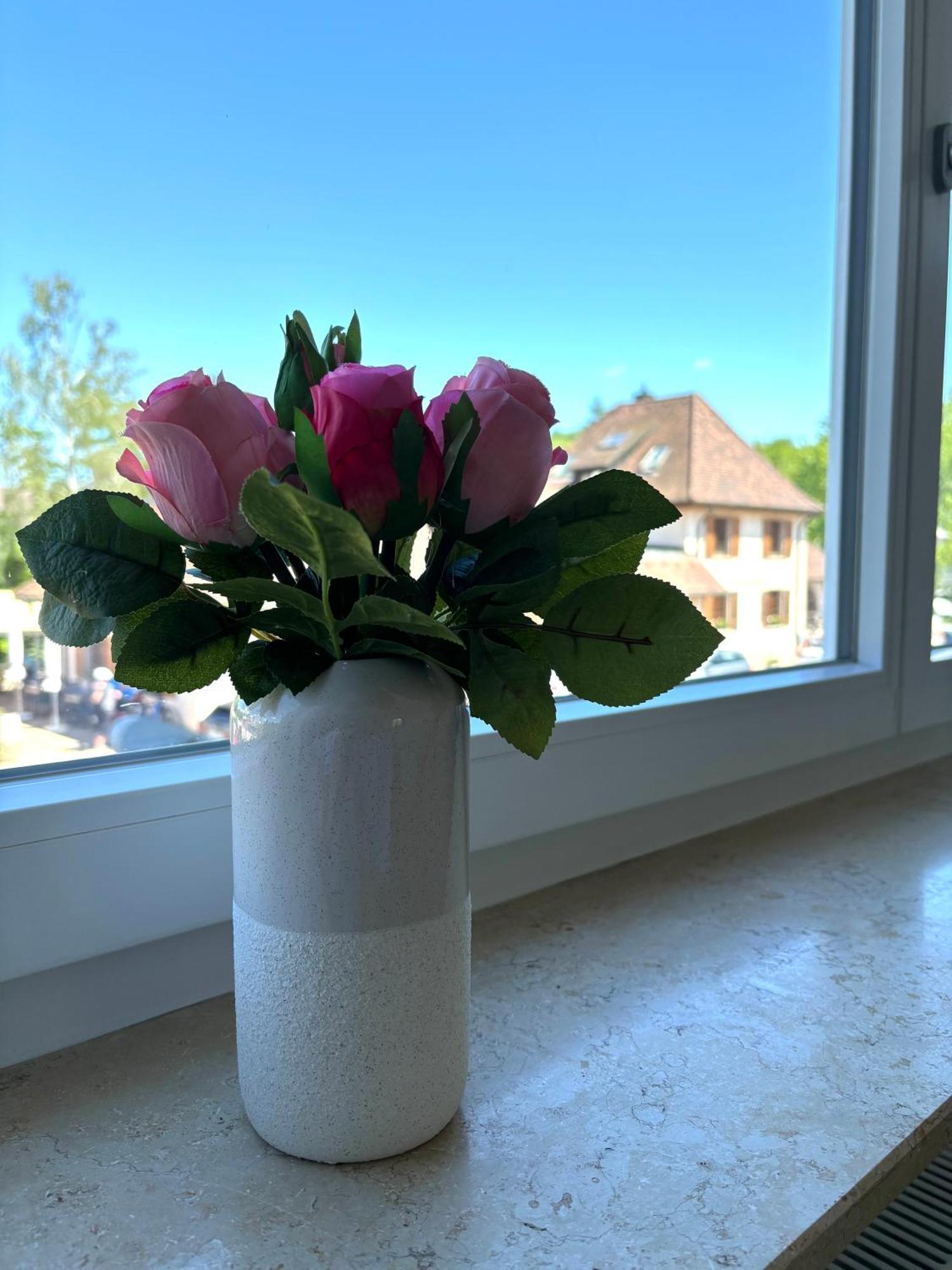 Gesamte Wohnung, Kueche, Parkplatz, Terrasse Bad Bellingen Esterno foto