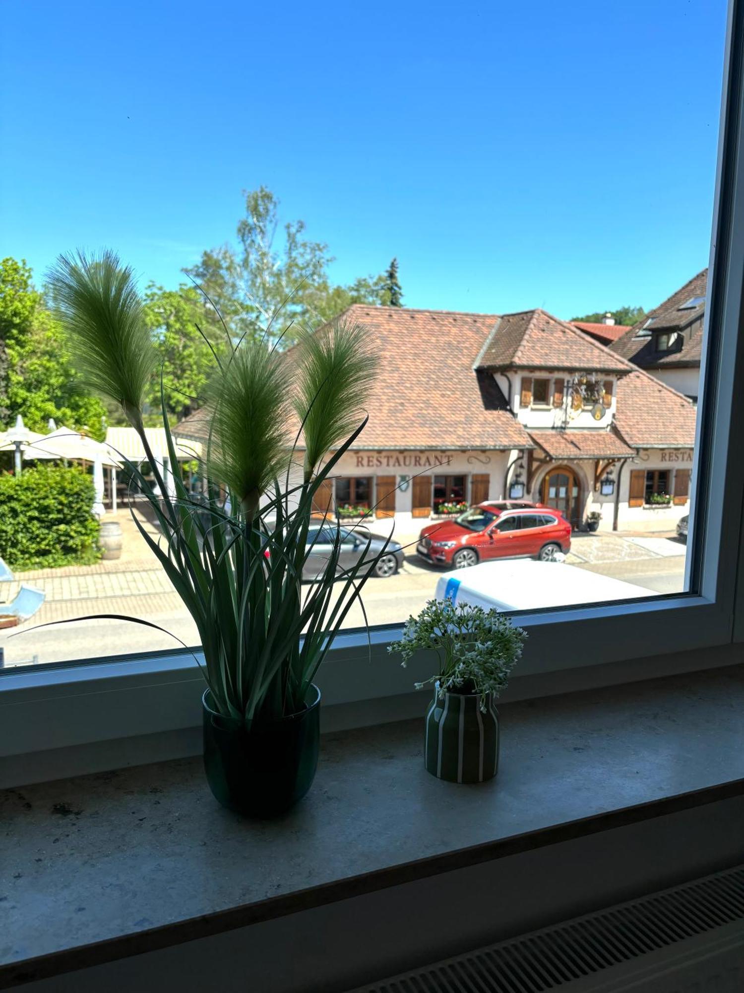 Gesamte Wohnung, Kueche, Parkplatz, Terrasse Bad Bellingen Esterno foto